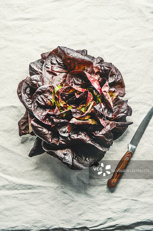 乡村背景下的红叶生菜与刀图片素材