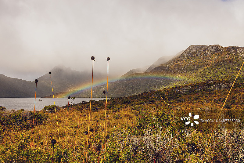 摇篮山国家公园鸽子湖上的彩虹图片素材