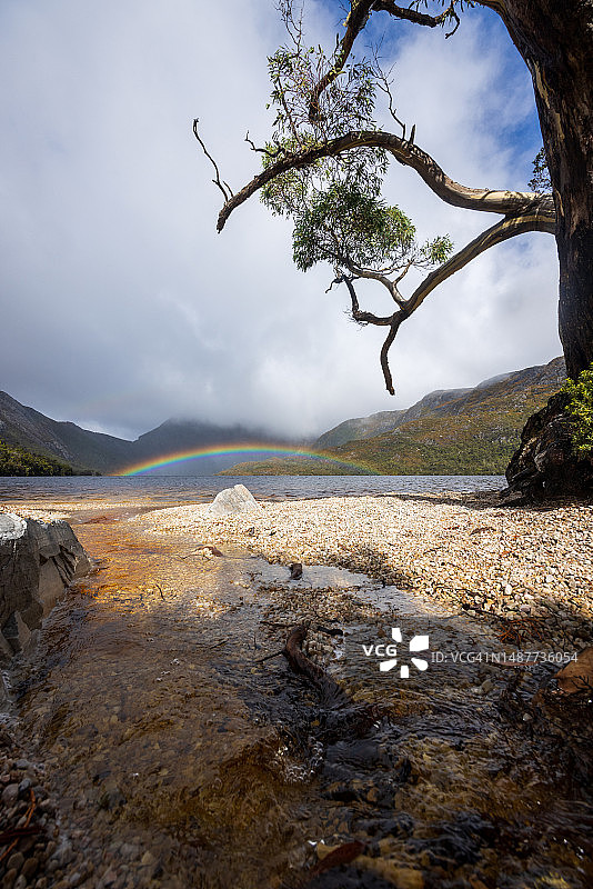 摇篮山国家公园鸽子湖上的彩虹图片素材