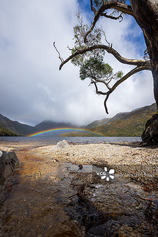 摇篮山国家公园鸽子湖上的彩虹图片素材
