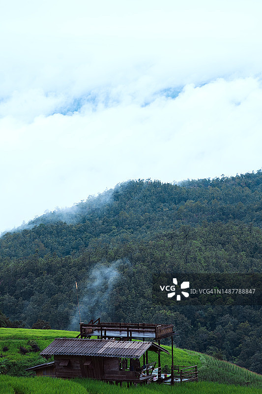 梯田：笼罩在村庄上的薄雾稻田图片素材
