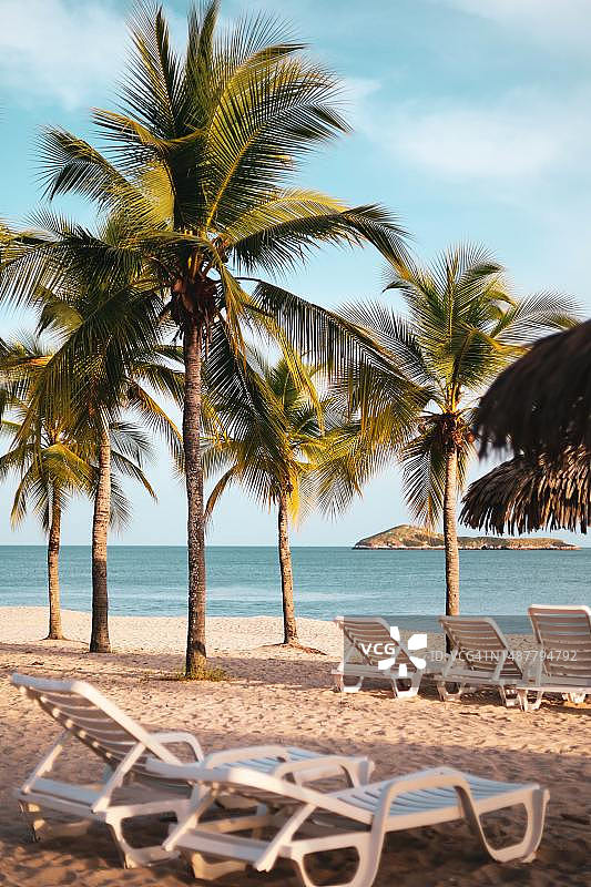 也门哈德拉毛省海滩棕榈树风光图片素材