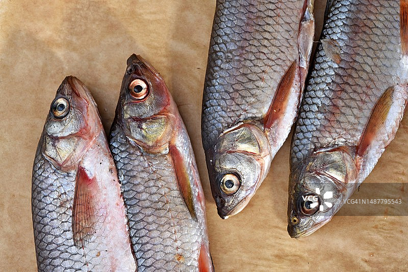 法国餐桌上的鱼俯视图图片素材
