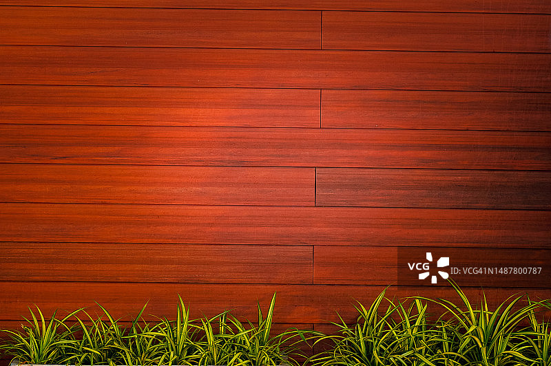罗马尼亚复古木质纹理背景搭配绿叶植物图片素材