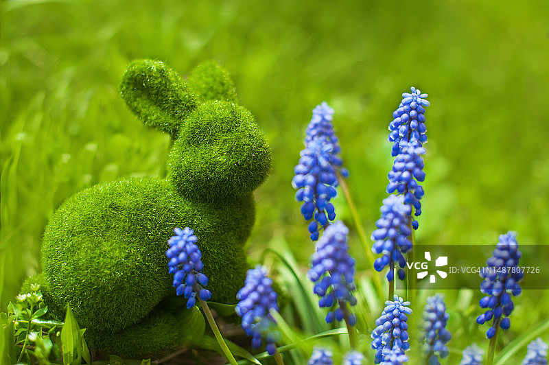 复活节兔子鲜花贺卡图片素材