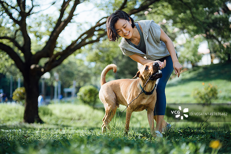 快乐的年轻亚洲女子在公园里和她的宠物狗玩耍，用棍子玩耍。与她的狗共度美好时光。与宠物一起生活。服从和训练图片素材