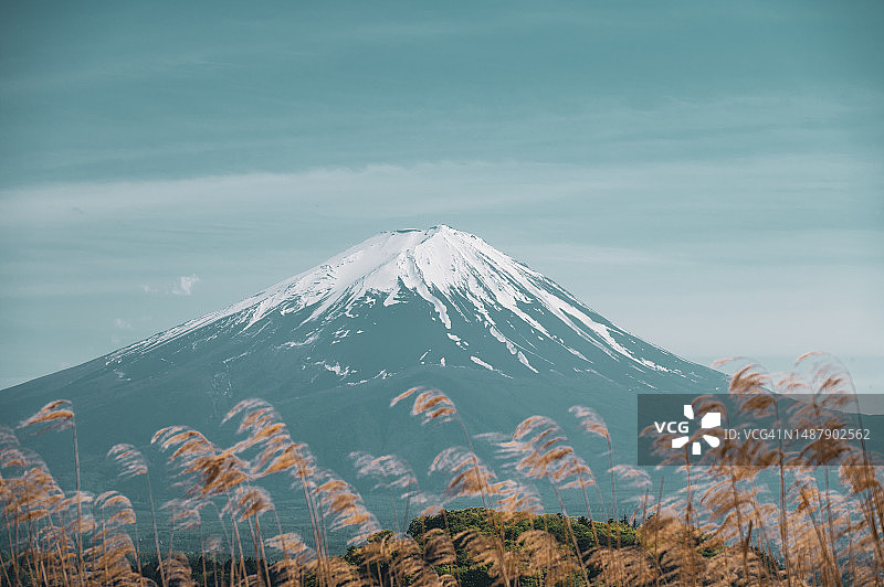 富士山。冬季河口湖前的雪山和蓝天，日本图片素材