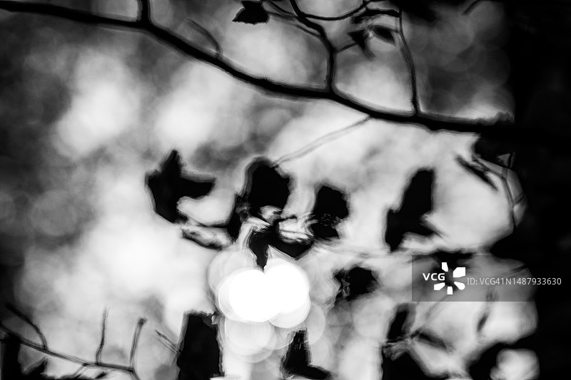 都柏林自然对比图片素材