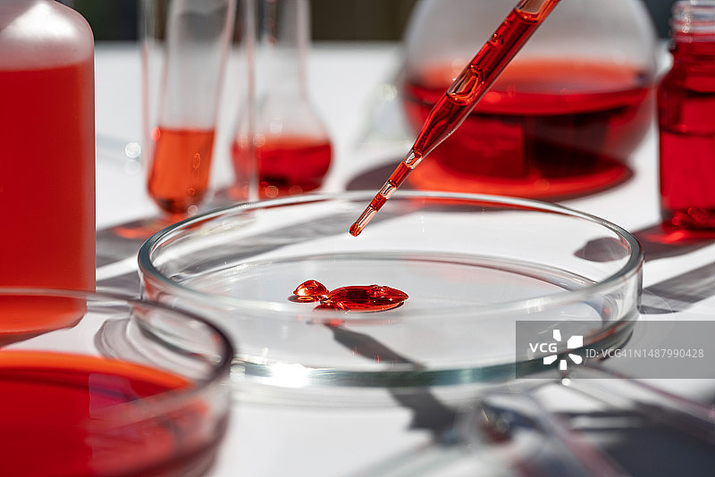 用于微生物研究的移液器和含琼脂的培养皿。近距离观察实验室科学玻璃器皿图片素材