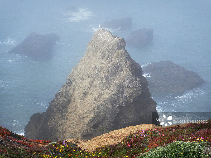 加利福尼亚州罗迪欧海滩雾中的海栈上的海鸥图片素材