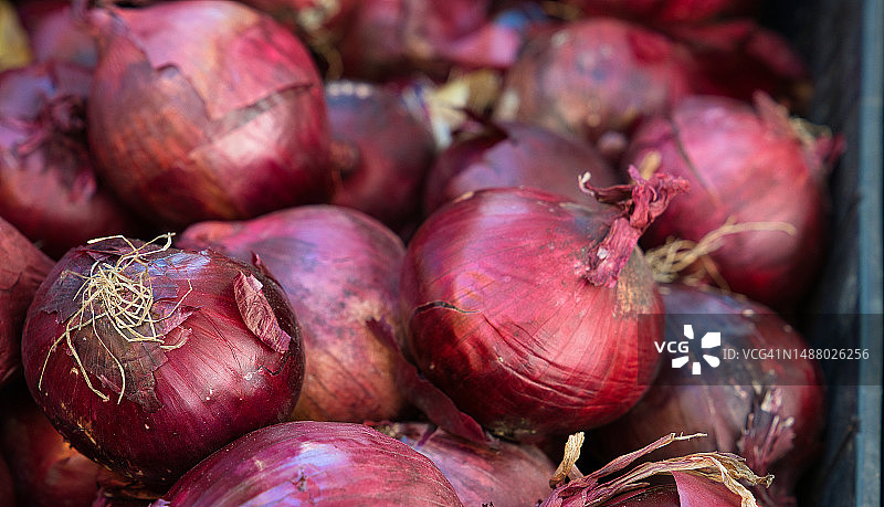 红洋葱图片素材