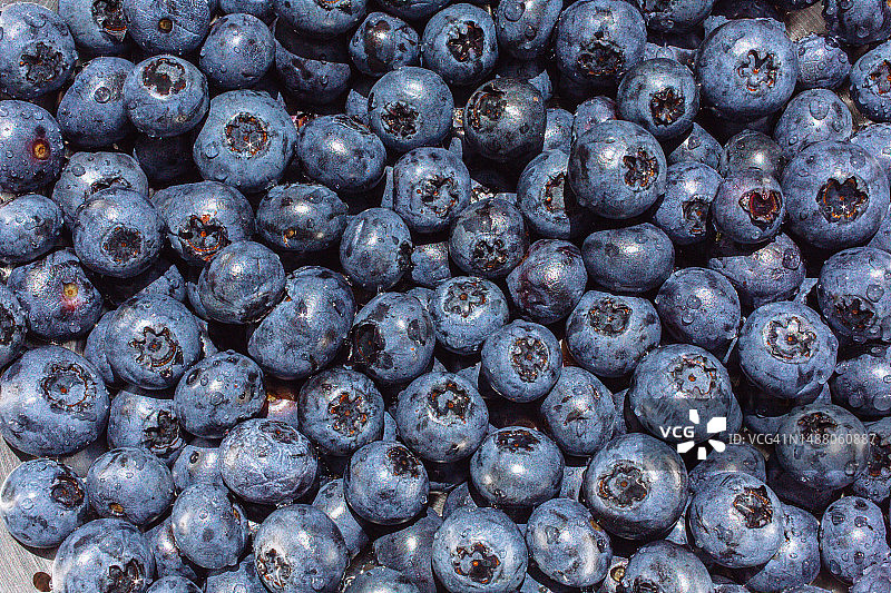 蓝莓背景特写，抗氧化剂，健康饮食选择水果饮食图片素材