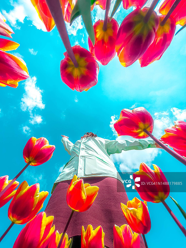 在荷兰郁金香花丛中的快乐女人，创意视角图片素材