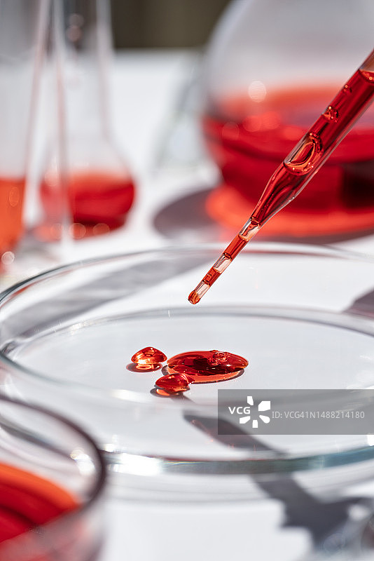 用于微生物学研究的移液管和含琼脂的培养皿，开发中的化妆品和药品图片素材