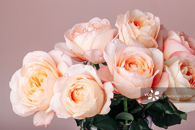 粉色背景上的淡粉色牡丹玫瑰花束图片素材