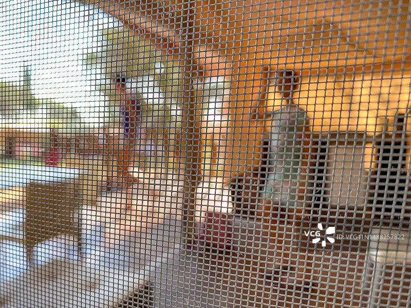 帐篷窗户上的防护蚊帐（前景焦点）图片素材