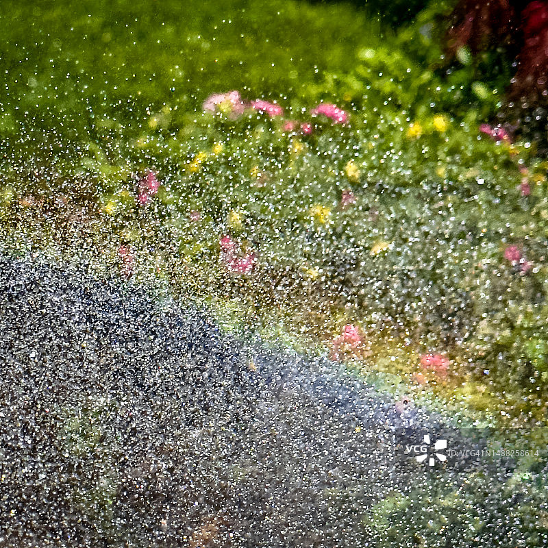 背景是鲜花的洒水喷头形成的彩虹图片素材