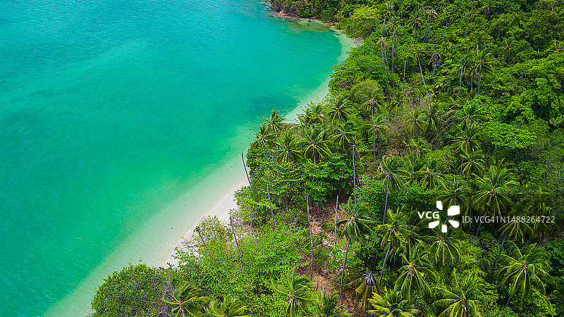 俯瞰椰子树海滩的鸟瞰图：泰国普吉岛，游客喜欢在那里享受日光浴和在海中游泳。图片素材