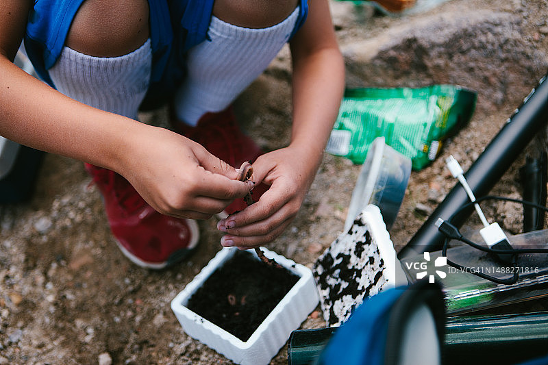 男孩在度假时得到蠕虫作为钓鱼的鱼饵图片素材