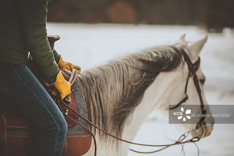 马缰绳和骑手的特写镜头图片素材