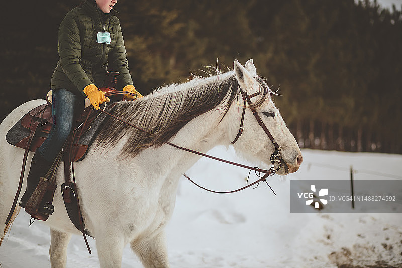 少女在冬天骑着白马图片素材
