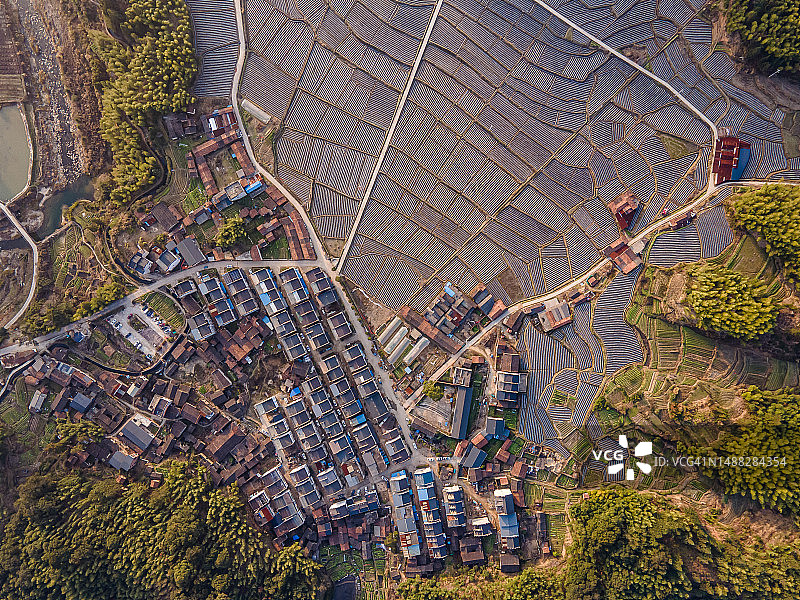 清晨小山村房屋和农田的垂直航拍图图片素材