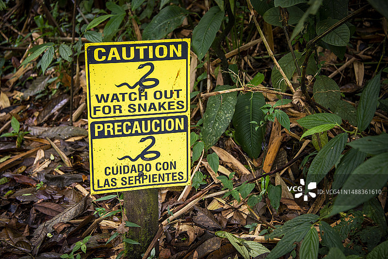 哥斯达黎加波阿斯火山雨林“小心蛇”标志特写图片素材