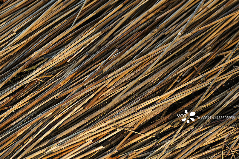 湖岸边芦苇图案图片素材