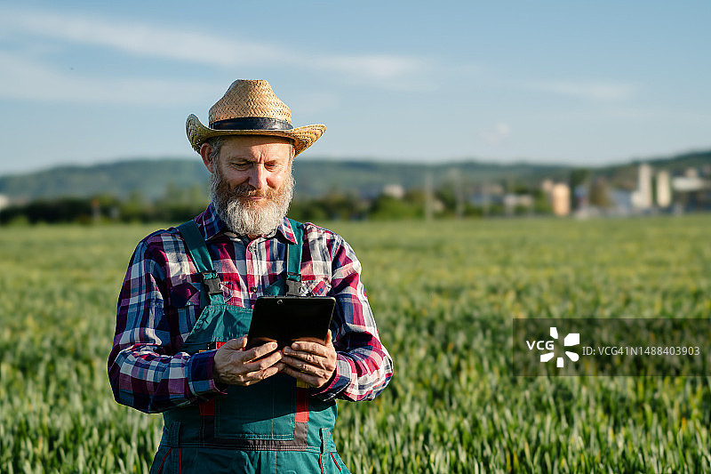 在麦田里工作的成熟络腮胡农民图片素材