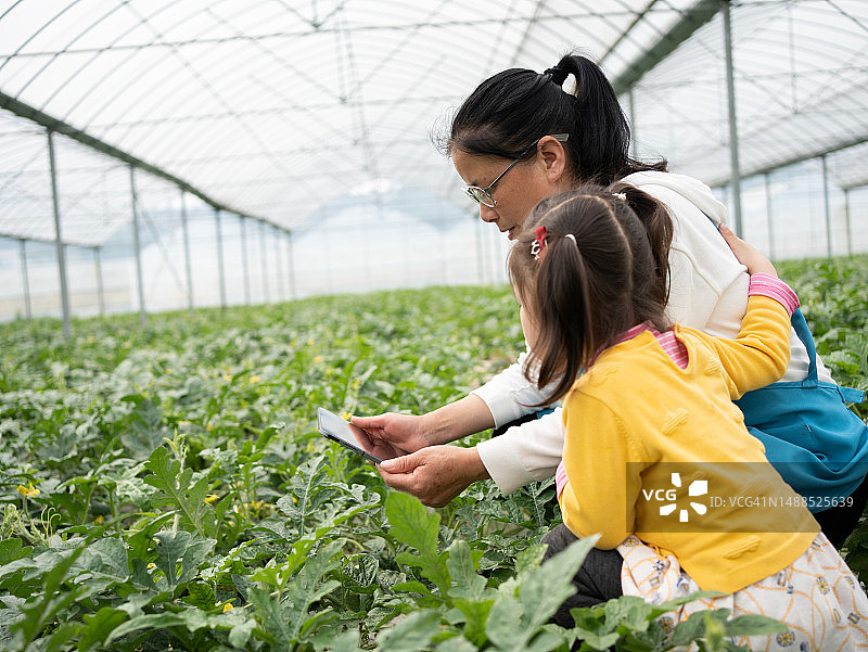 带孩子们体验种植的乐趣图片素材