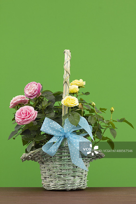 赠送鲜花图片素材