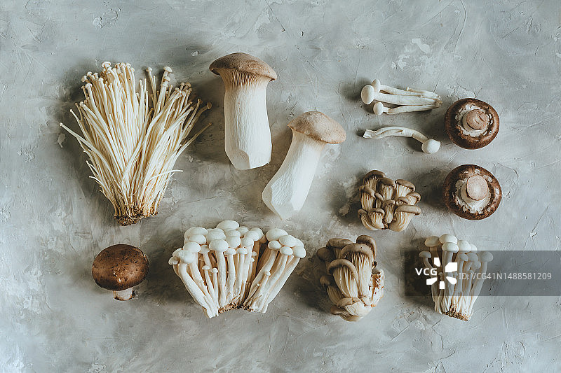 灰色背景上的各种新鲜食用蘑菇图片素材