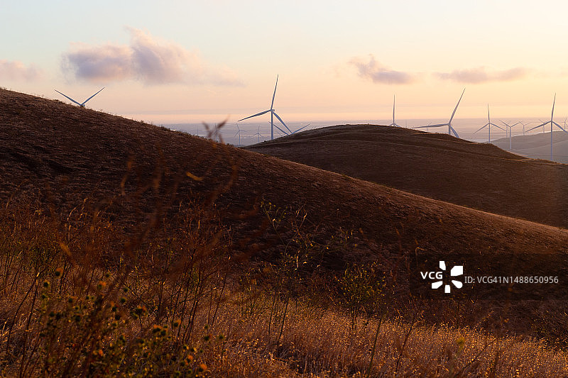 加利福尼亚州阿尔塔蒙特风力涡轮机田野风光，美国图片素材