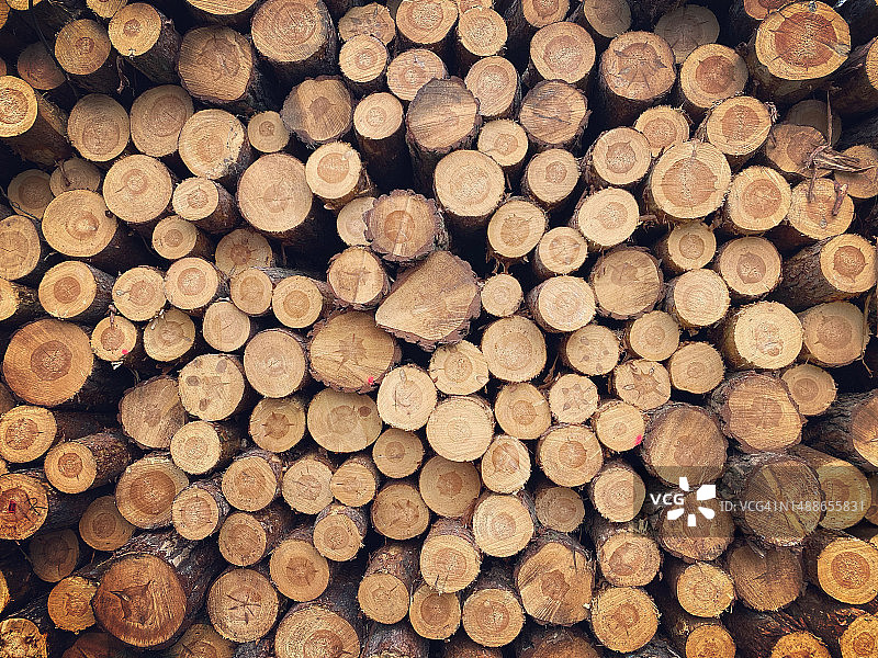 整框拍摄的木材，马佐夫舍地区，波兰图片素材