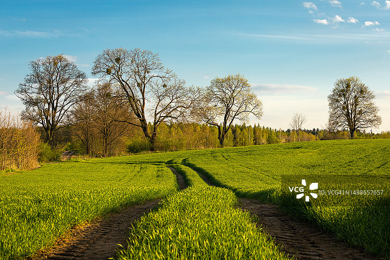 波兰奥尔什丁农业景观图片素材