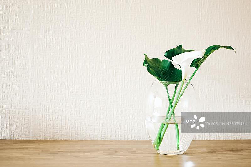 靠墙的桌子上花瓶特写图片素材