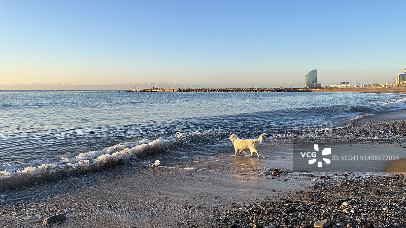 湛蓝的天空衬托着美丽的海景图片素材
