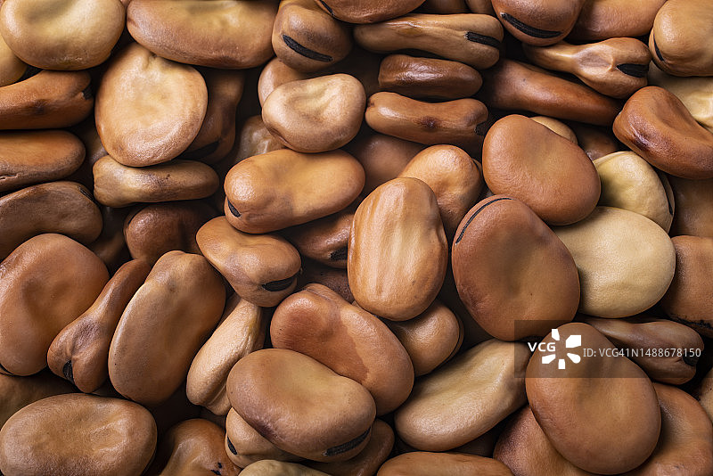 前景中的干蚕豆，意大利图片素材