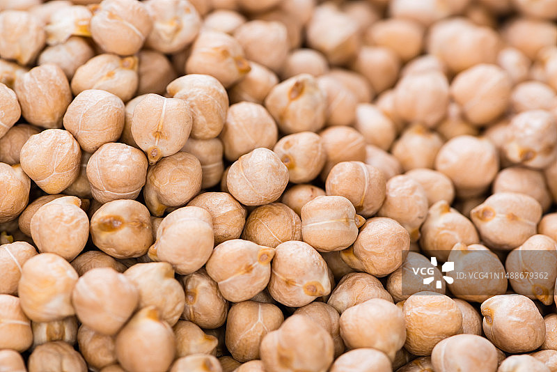 鹰嘴豆的详细微距照片，罗马尼亚图片素材