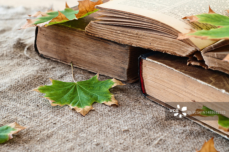 特写：带有秋季枫叶的复古书籍，留白图片素材