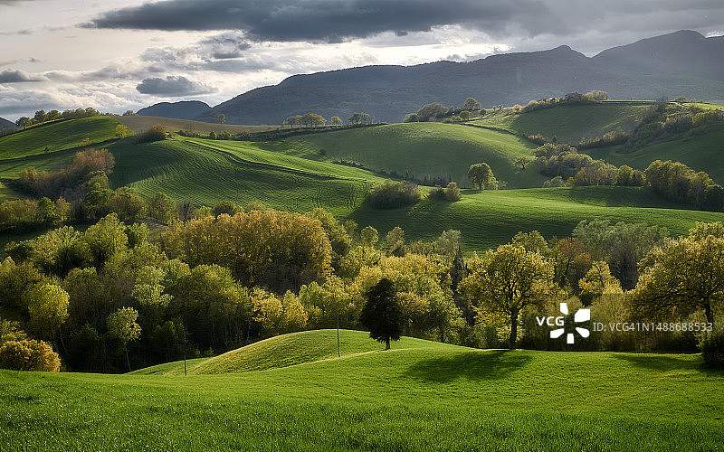 天空映衬下田野树木的美景图片素材