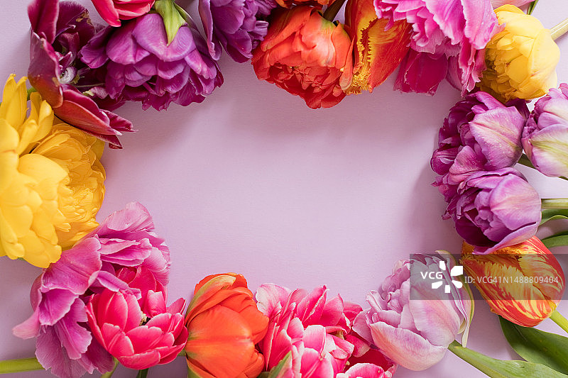 带有明亮郁金香花束的框架图片素材