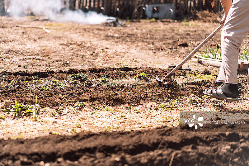 农民在田间用耙子平整土地图片素材