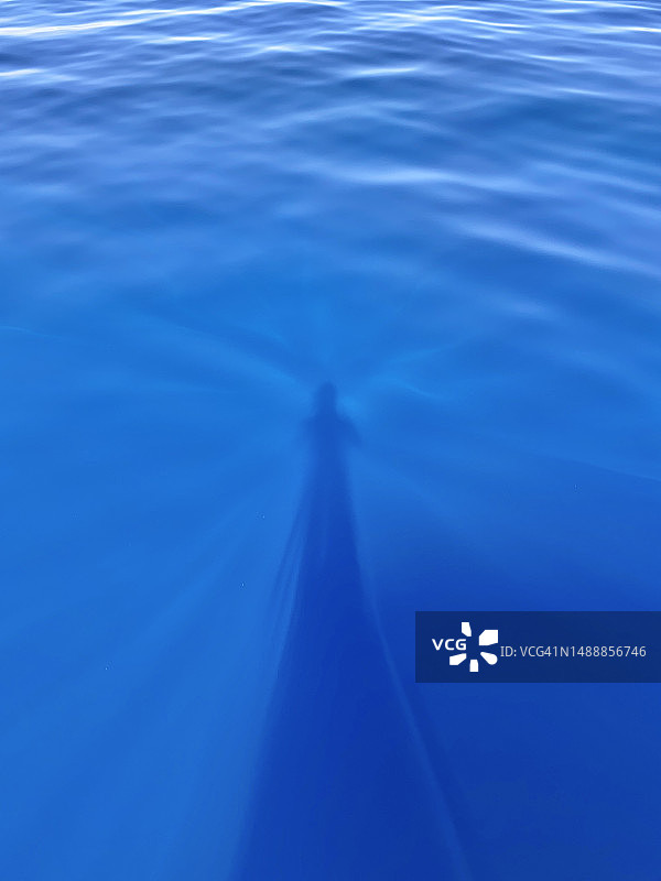 阳光照耀在成年人的身影周围，深海海水图片素材