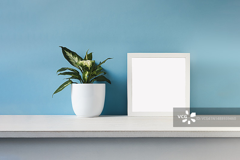 法国桌子上的盆栽特写图片素材