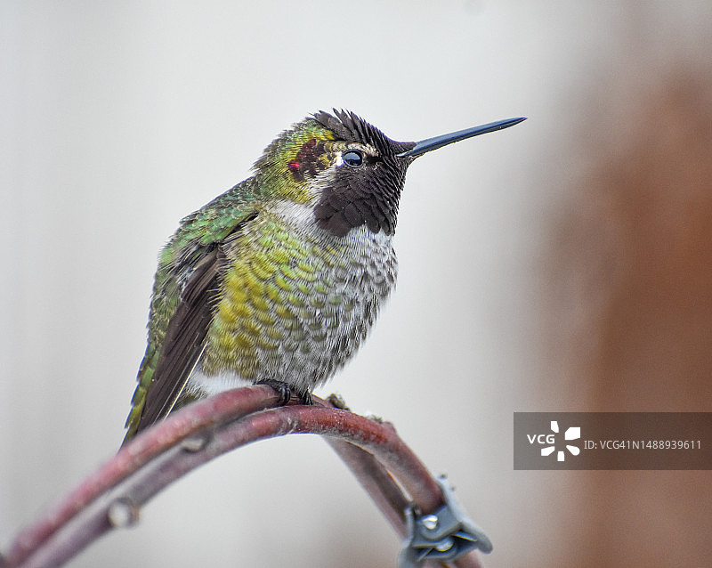 感恩之眼中的奇迹，美国堪萨斯州蒙哥马利县图片素材