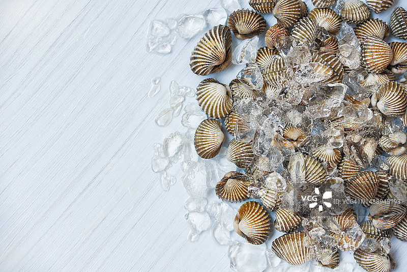 冰鲜海鲜鸟蛤，罗马尼亚图片素材