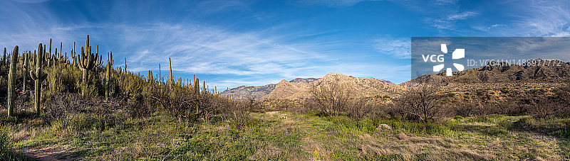 圣卡塔利娜山图片素材