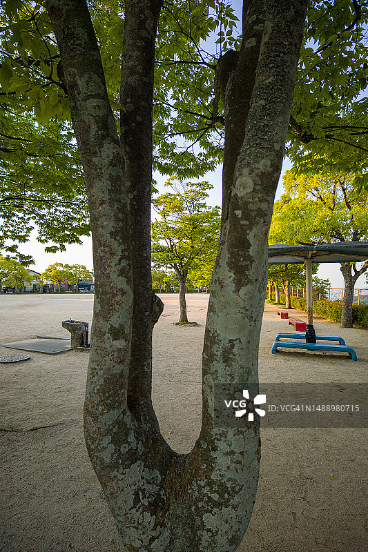 住宅区的自然图片素材