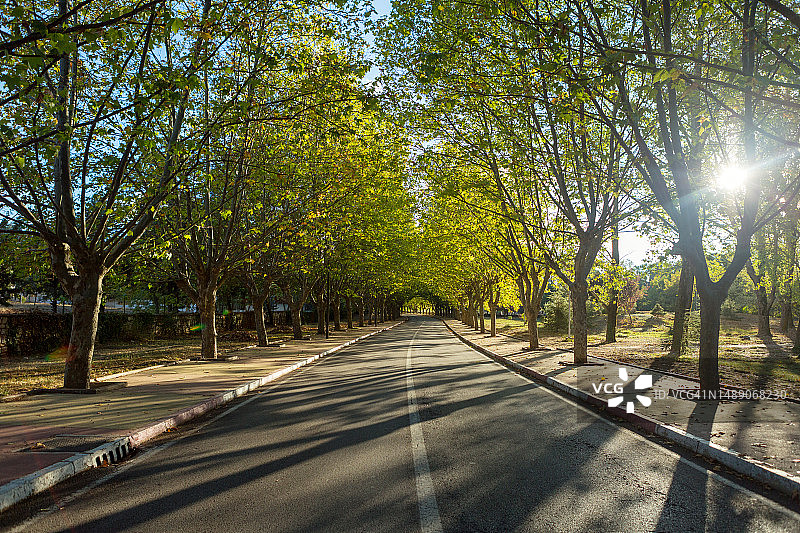 伊夫兰，中阿特拉斯山脉，摩洛哥，北非图片素材